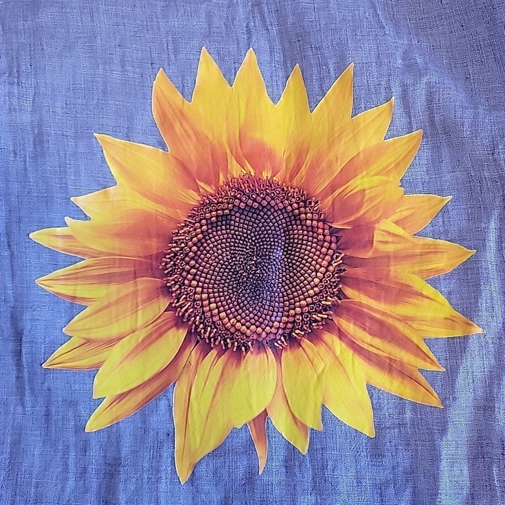Sunflower. Oversized Top. Cover Up. Size 3XL. NWOT - Picture 5 of 5